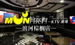 月亮村KTV(棕榈店)