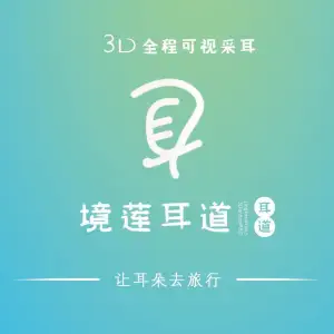 境莲全程3D可视采耳