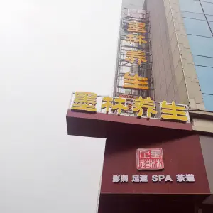 墨林养生（老爹广场店）