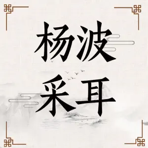 杨波采耳修脚（宝龙国际总店）