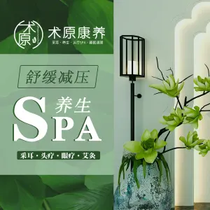 术原采耳·养生SPA（东湖南路店）