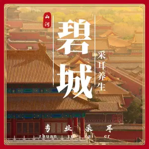 碧城采耳养生馆（丽景名筑店）