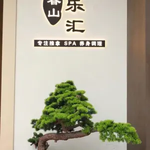 春山雅乐汇·养身SPA