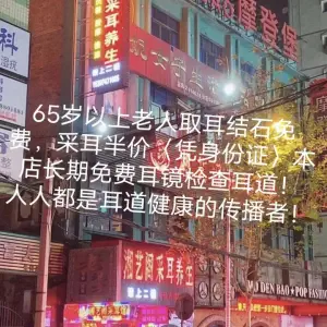 湘艺阁采耳养生（先锋路店）的logo