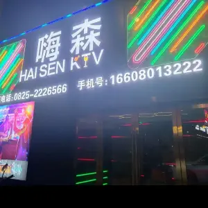 嗨森KTV（遂宁义乌商业广场店）