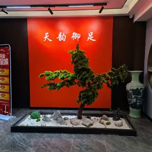 天韵御足（迎春南街店）的logo