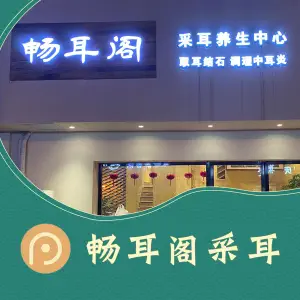 畅耳阁采耳养生中心（史可法东路店）