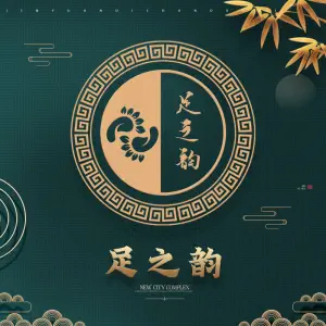 足之韵健康足浴·推拿（桂香街店）的logo