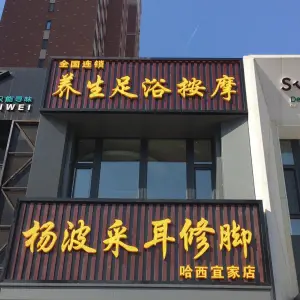 杨波采耳修脚（哈西宜家店）