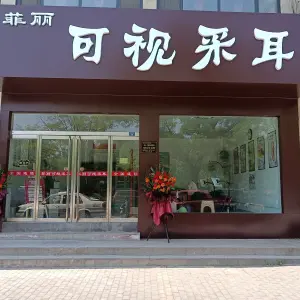 菲丽可视采耳（沿河西路店）