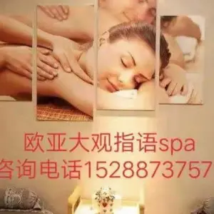 指语  采耳  Spa