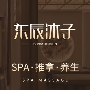 东辰沐子·养生SPA（麓谷店）