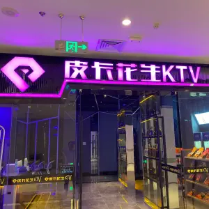 皮卡花生KTV（巍山新天地店）