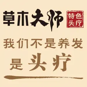 草木大师特色头疗（会展中心店）的logo