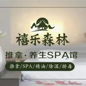 禧乐森林·中泰·按摩·SPA  ·足疗（天环店）