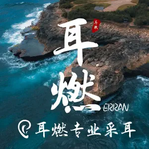 耳燃专业采耳（北磨店）的logo