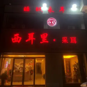 西耳里·采耳的logo