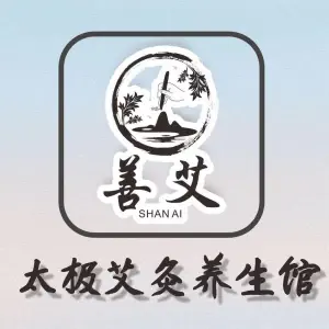 善艾太极艾灸养生馆的logo