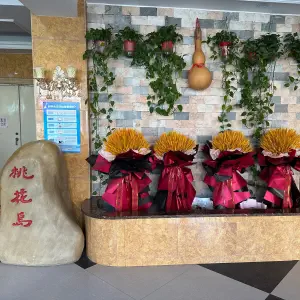 桃花岛休闲水会